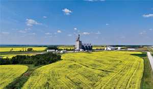Relief as canola tariffs lowered after China trip